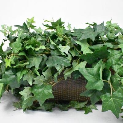 Decorative Plant W/ Box