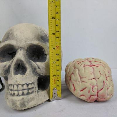 3 Halloween Decorations: Skull, Brain, Witch