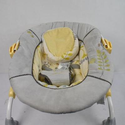 Carter's Baby Bouncer, Gray with Floral & Dragonfly Design