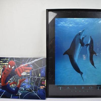 Spiderman Picture & Framed Dolphin Picture