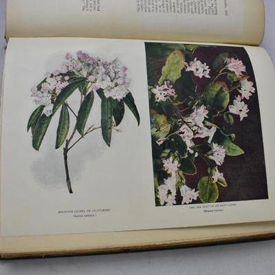Antique 1900 Hardcover Book Nature's Garden with Some Color Images