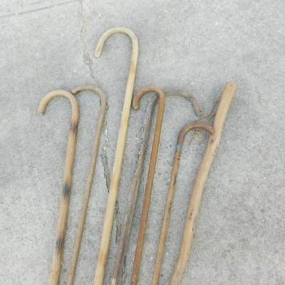 Collection of Wooden Walking Sticks