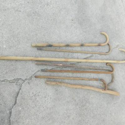 Collection of Wooden Walking Sticks