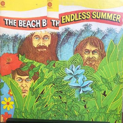 #10 The Beach Boys  Endless Summer SVBB-11307 