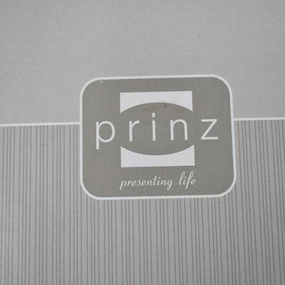 Prinz Black Frame with Box, Holds Two 4