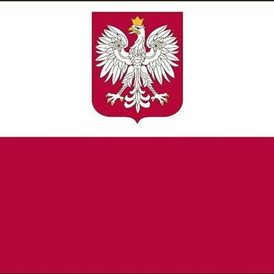 Qty 3 Valley Forge Flags 3' x 5' Poland Eagle - New