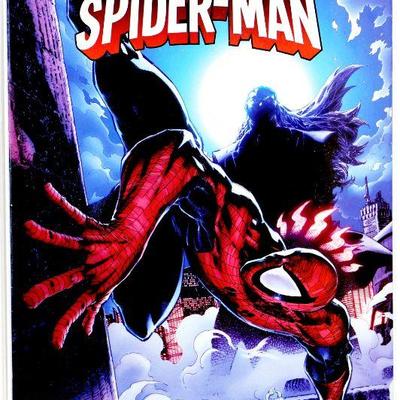 Peter Parker SPECTACULAR SPIDER-MAN #310 #311 Comic Book Set 2017 Marvel Comics