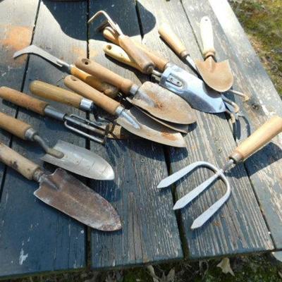 Collection of Gardening Tools