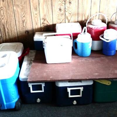 40 - Cooler Lot featuring over 12 different sized coolers