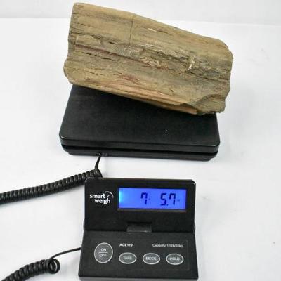 Petrified Wood, Over 7 Pounds