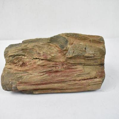 Petrified Wood, Over 7 Pounds