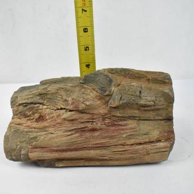 Petrified Wood, Over 7 Pounds