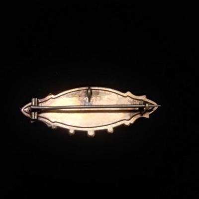Victorian Oval Brooch with Flower Motif 1/2"L x 1 1/2"W