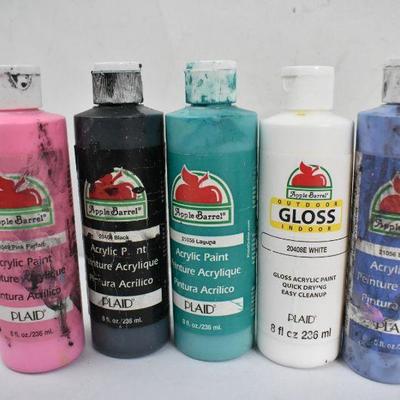29 Bottles of Acrylic Paint & 12 Paint Brushes