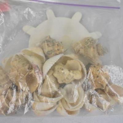 Jewelry Making Lot: Including Beads & Shell Beads