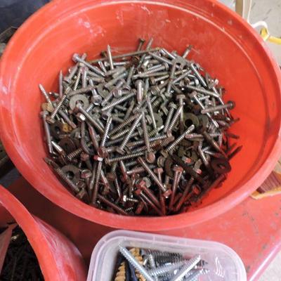 Large Collection of Assorted Screws