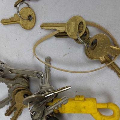 Various Household Keys Lot