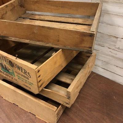 Lot #50 Pile of Fruit Crates  (4) 