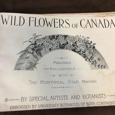 Lot #116 Antique Book - Wild Flowers of Canada 