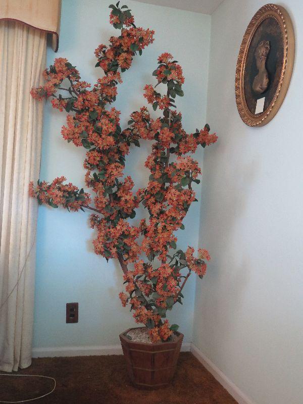 Orange Blossom Tree