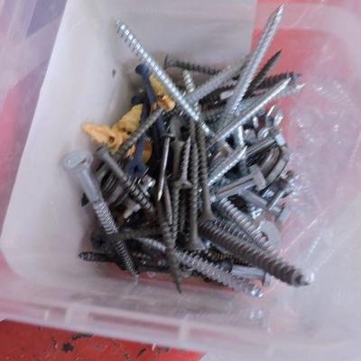 Large Collection of Assorted Screws