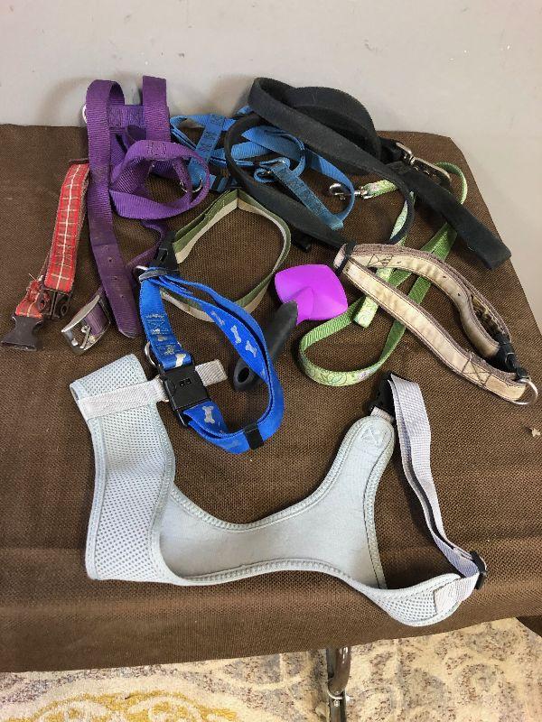 Lot179 Collars, Leashes and Harnesses