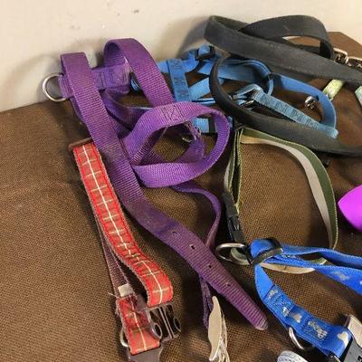 Lot#179 Collars, Leashes and Harnesses 