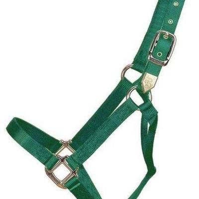 New Large Hamilton Dark Green Horse Halter Large 1100-1600 lbs. All Solid Brass Findings 