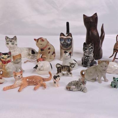 Large Collection of Small Cats