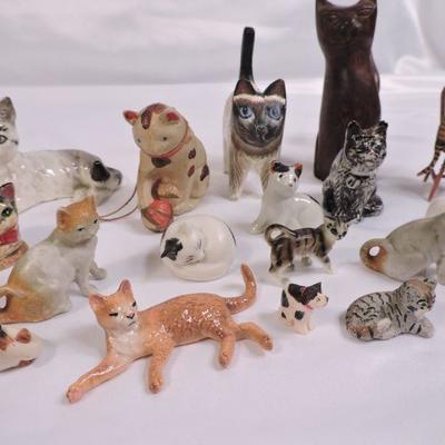 Large Collection of Small Cats