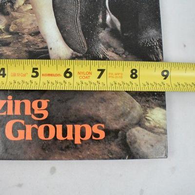 6 National Geographic Hardcovers Vintage 1984 - Amazing Animals - New Condition