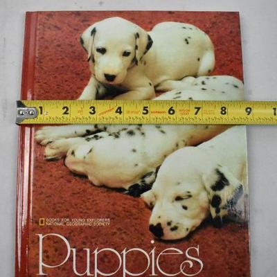 4 National Geographic Hardcovers Vintage 1984 - Pandas - New Condition