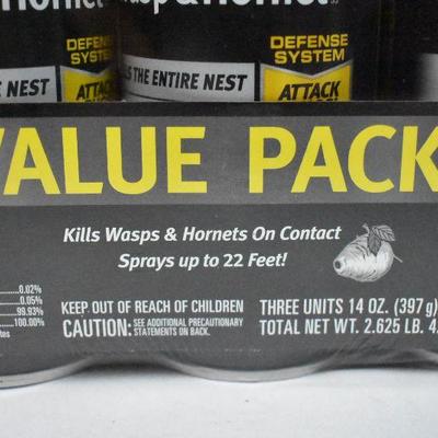 Raid Wasp & Hornet Killer, 14 oz, 3 Count - New