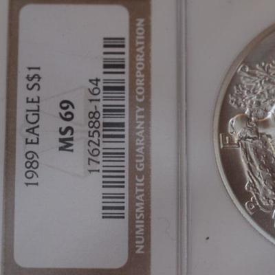 American Silver Eagle 1989