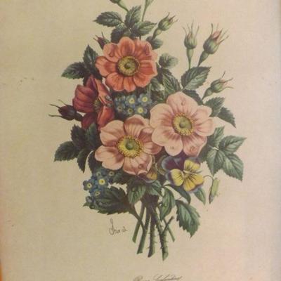 Chirat Vintage Botanical Prints