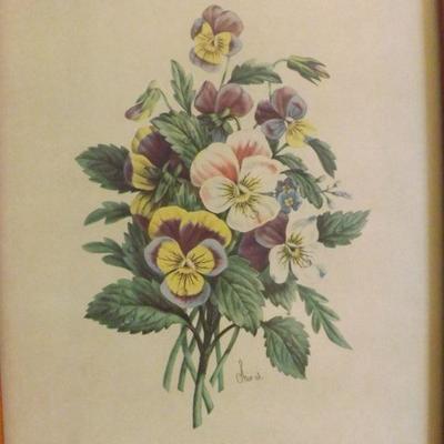 Chirat Vintage Botanical Prints