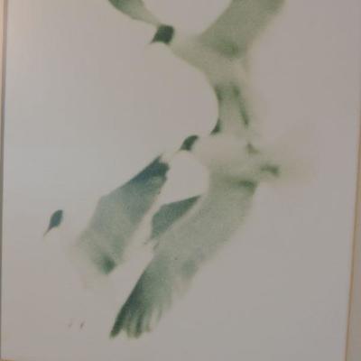 Charles Gardner Seagulls Photograph