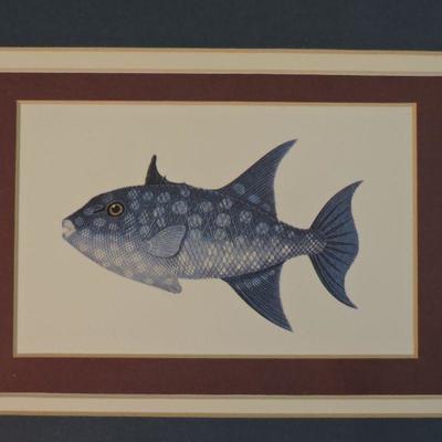 Fish Print Unsigned