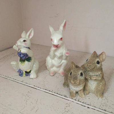 Lot 101 - Colony of Rabbits