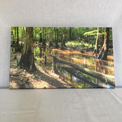 Lot 215 - Photo On Canvas & Alligator