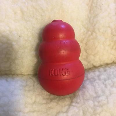 Lot 235 - Dog Essentials 