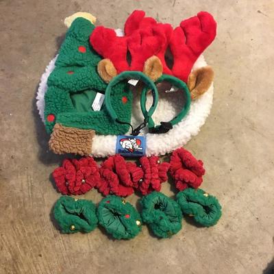 Lot 235 - Dog Essentials 