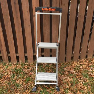 Lot 236 - Step Ladders & More