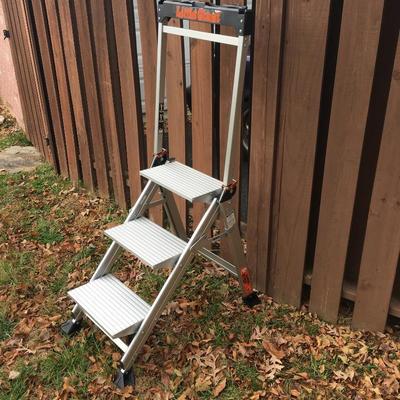 Lot 236 - Step Ladders & More