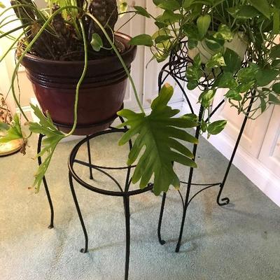 Lot # 18 Lot of 3 iron plant stand with plants