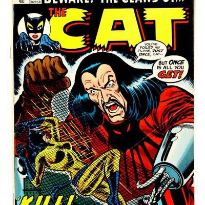 THE CAT #3 Rare Bronze Age Comic Book 1973 Marvel Comics VG/FN