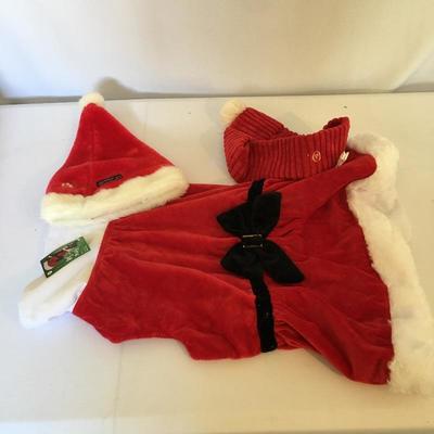 Lot 260 - Large Dog Essentials