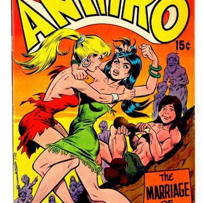 ANTHRO #6 Silver Age DC Barbarian Comic Book Howie Post & Wally Wood 1969 DC Comics VG-
