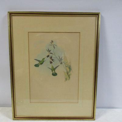 Lot 54 -  Framed Hand Colored Lithographs Of Hummingbirds