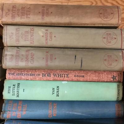Lot 297 - Vintage Teen Books with First editions